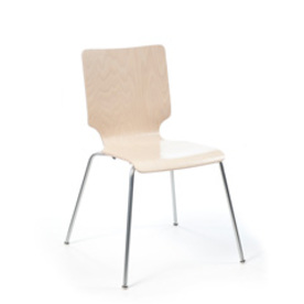 ADI - Cam&eacute;lia.jpg