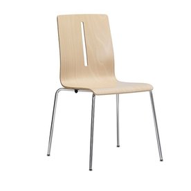 ROUILLARD - Pilium ply.jpg